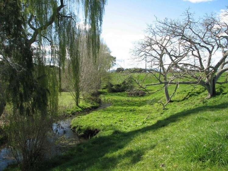 State Highway 27 Matamata_6