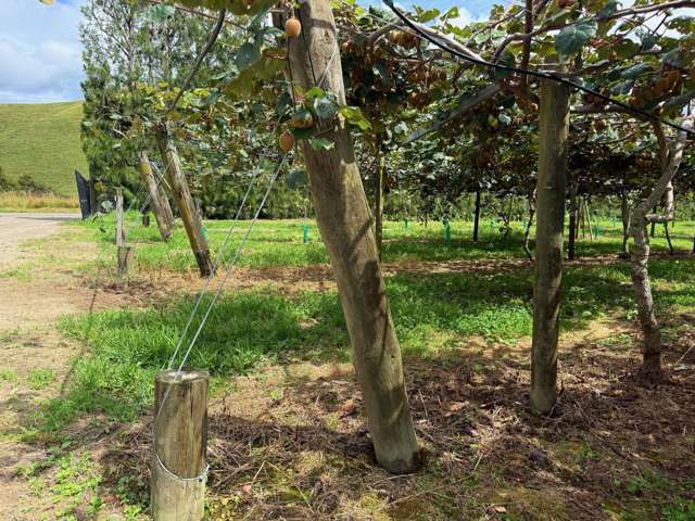 155 Mystery Valley Road Paengaroa_4