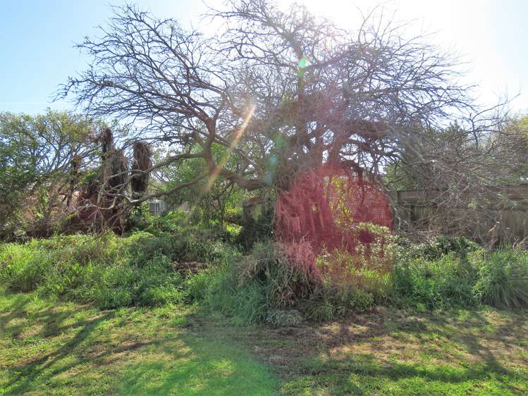 7 Peel Street Westport_14