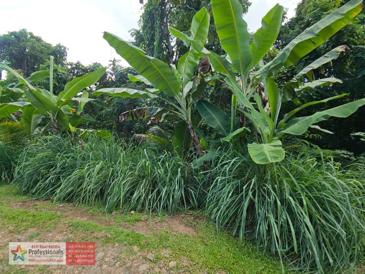 Address withheld Savusavu_12