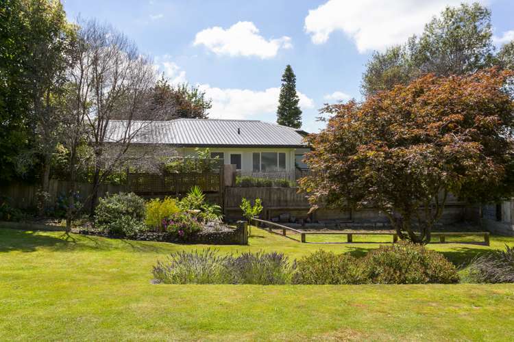 11 Olive Avenue Nukuhau_9