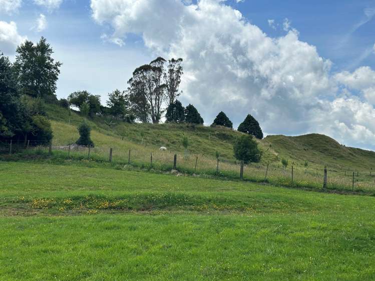 127b Seddon Street Raetihi_0