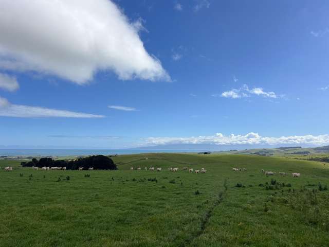 300 Waterhouse Road Orepuki_3