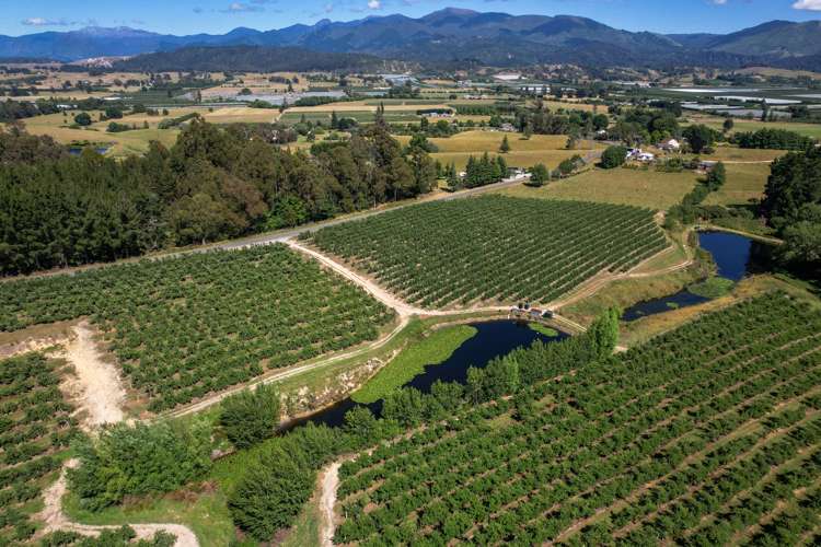 5 Lindup Road Lower Moutere_20