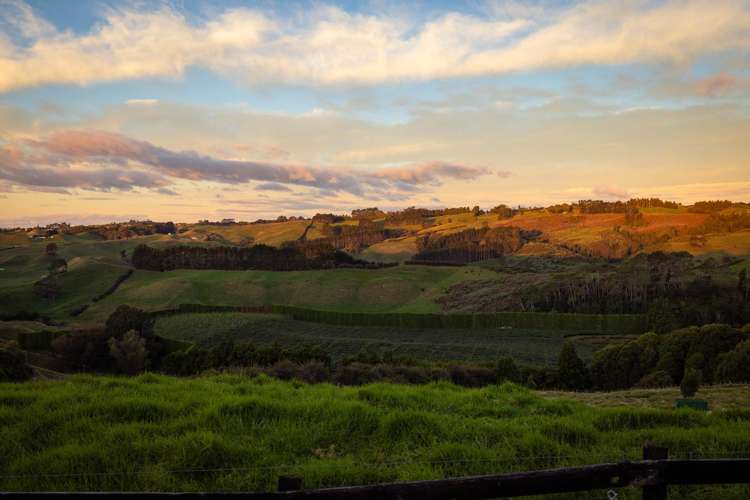 119 Hereford Road Oropi_31