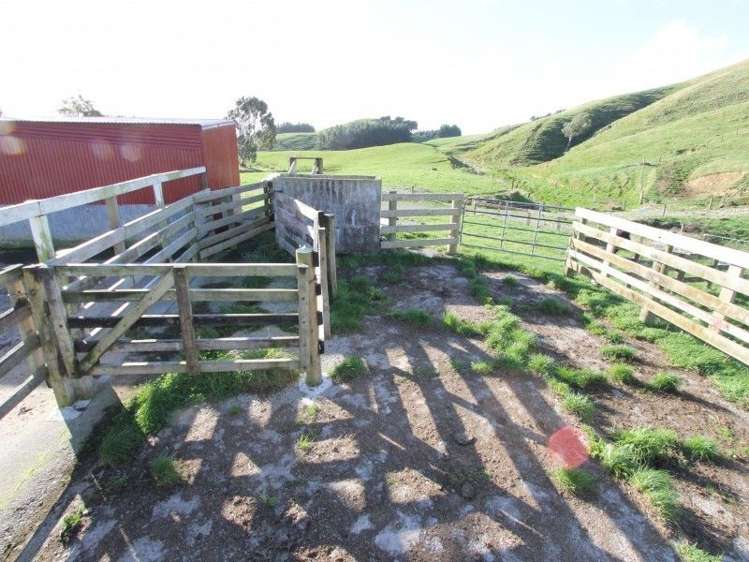 300 Nireaha Hukanui Road Eketahuna_6