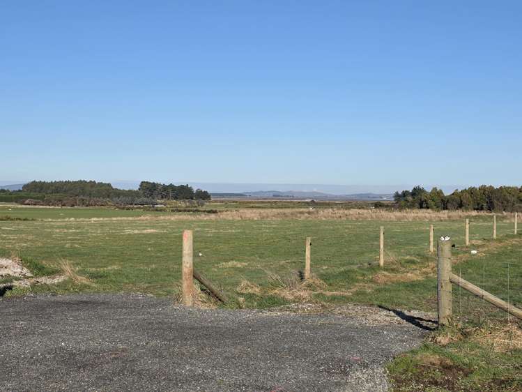 52 Ferguson Street_3