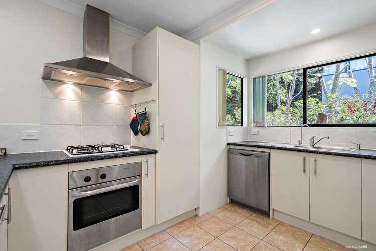 25a Bush View Lane Northcote Point_13