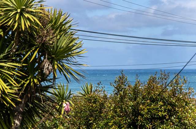 28 Tasman View Road Bethells Beach_4