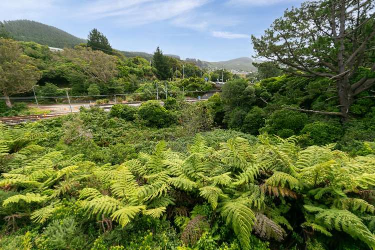 4 William Earp Place Tawa_8