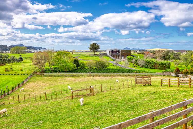 18 Tern Point Mangawhai_14