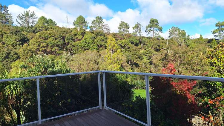 17 Carol Lee Place Albany Heights_13