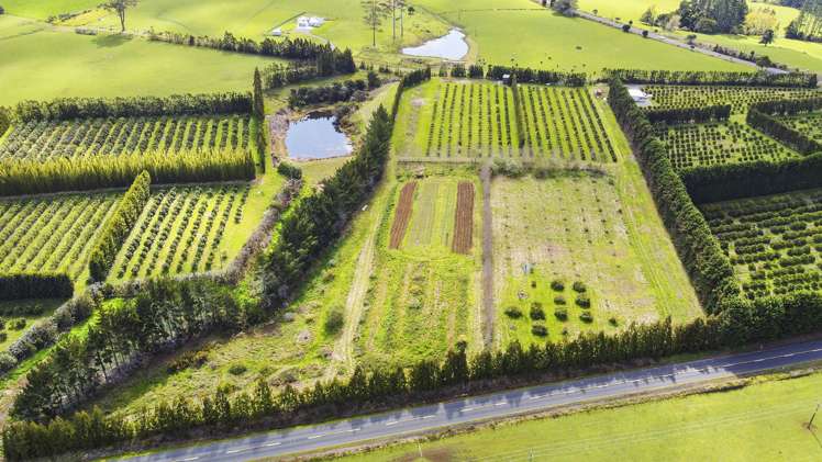 908 Te Ahu Ahu Road Waimate North_16