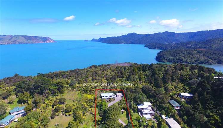 81 Cornwallis Road Cornwallis_6