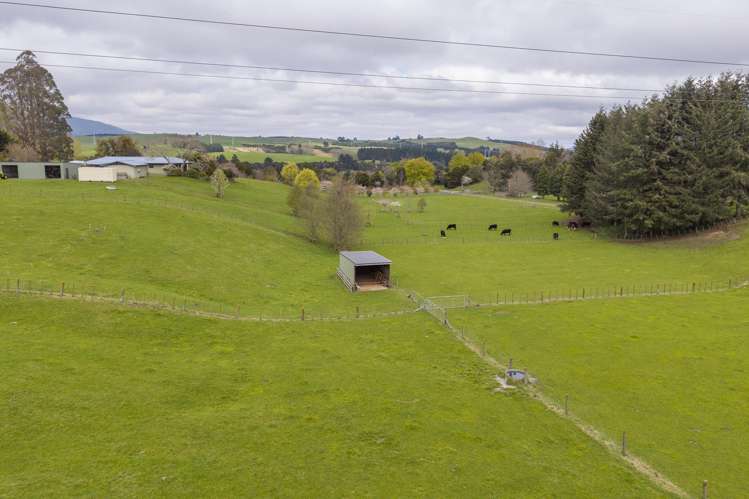698 Aratiatia Road Wairakei_41