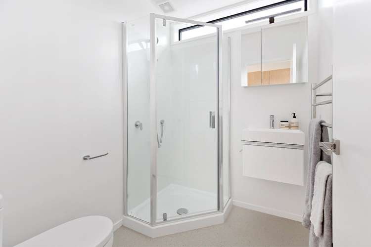 46b Camperdown Road Miramar_4