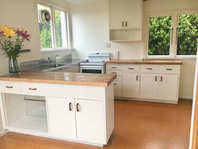 1 Hunt Street Andersons Bay_1