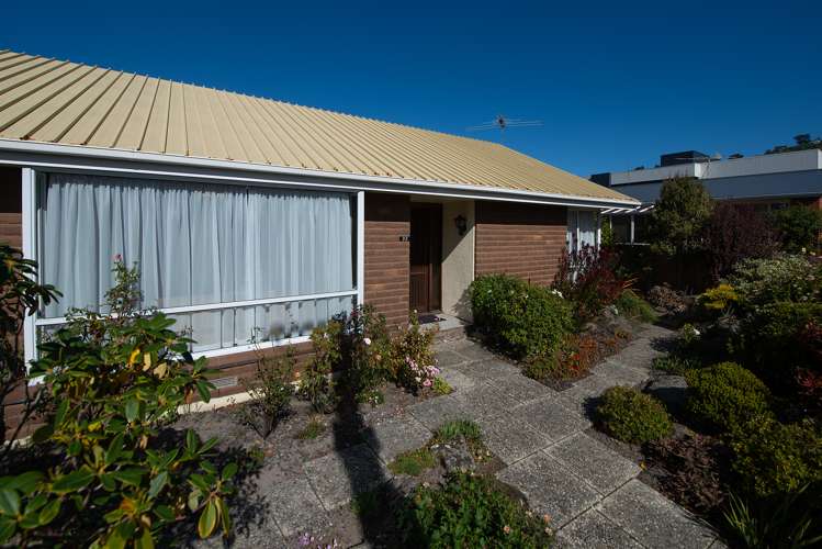 32a Albert Street Saint Clair_19