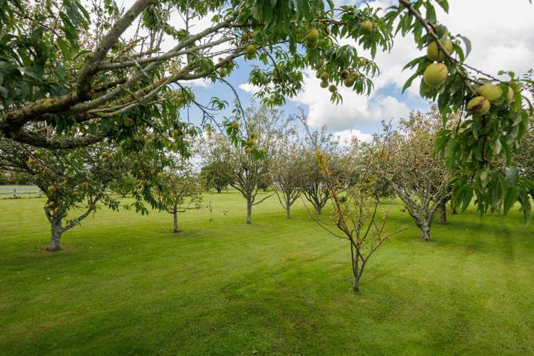 450 Alexandra Road, Manawaru Matamata-piako Surrounds_24
