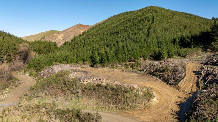 Motueka Valley Highway - Rabbit Gully_0
