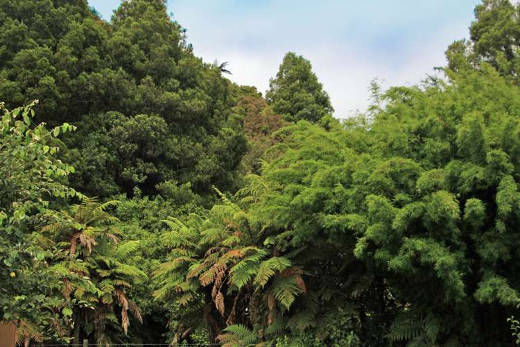 State Highway 6 Barrytown_7