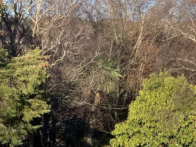 31 Hospital Road Balclutha_23