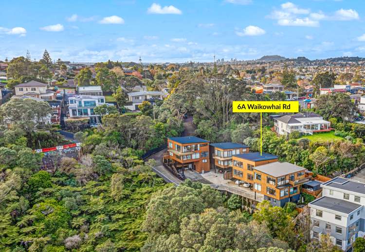 6a Waikowhai Road Mount Roskill_17