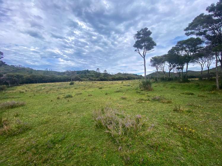 Lot 3/161 Wharariki Road Puponga_5