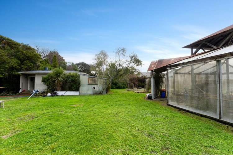 419 Nayland Road Stoke_9
