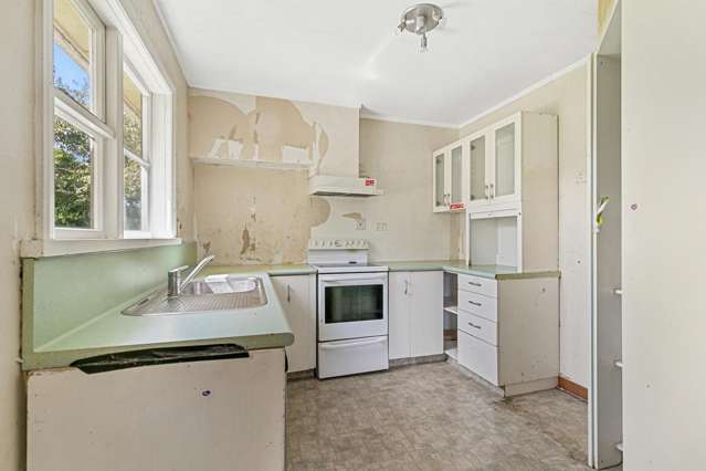 7A Roosevelt Street Levin_4