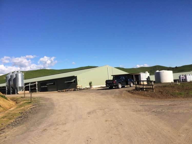 198 Harbottle Road Morrinsville_9