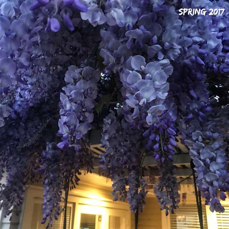 25 Trelawn Place Cockle Bay_28