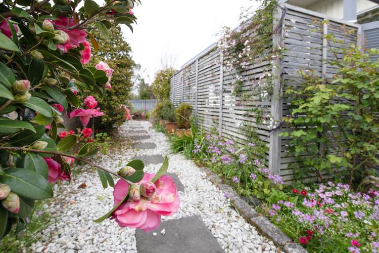 73 Westminster Avenue Tamatea_20