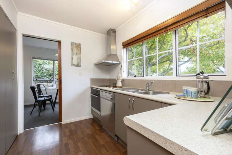 6 Ngatiawa Street One Tree Hill_8