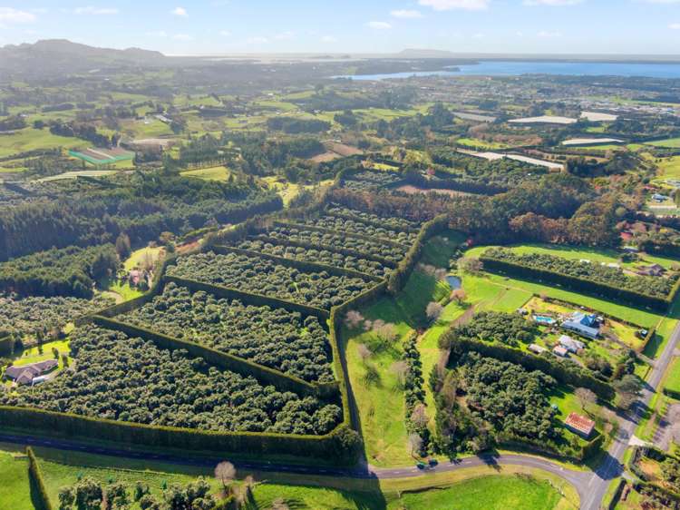 12 Timon Drive Hauraki Surrounds_16