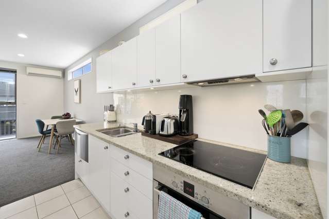 17b Hania Street Mount Victoria_3