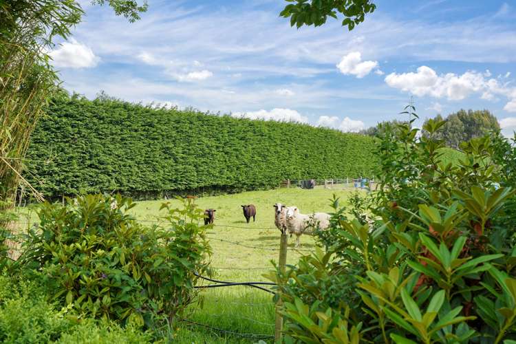 72 Millton Park Road Mill Road_24