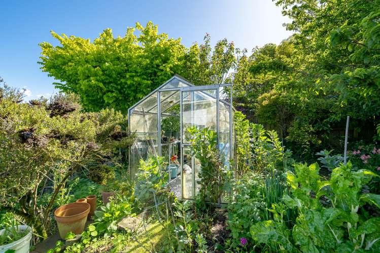 40 Scobie Road Waverley_12