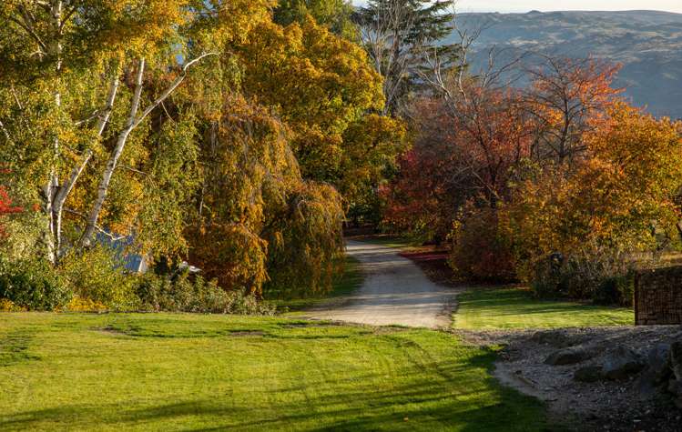 545 Dunstan Road Alexandra_7