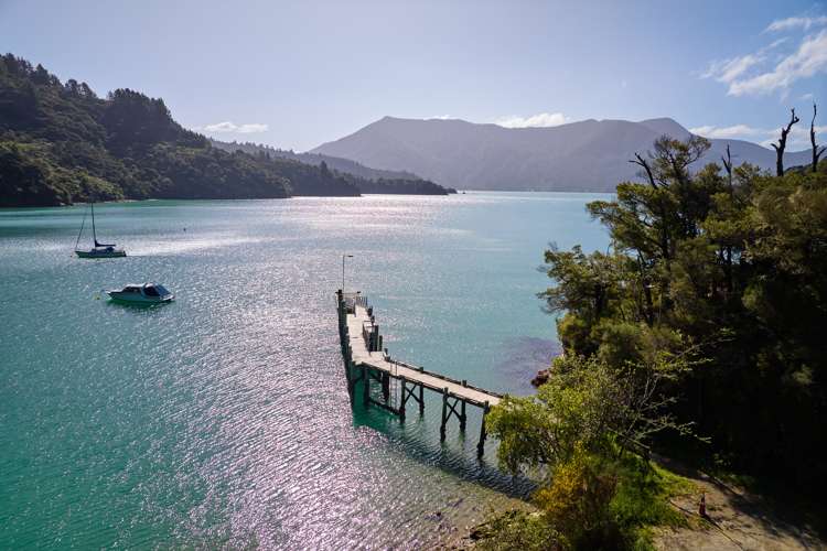 Te Mahia Bay Kenepuru Sound_10