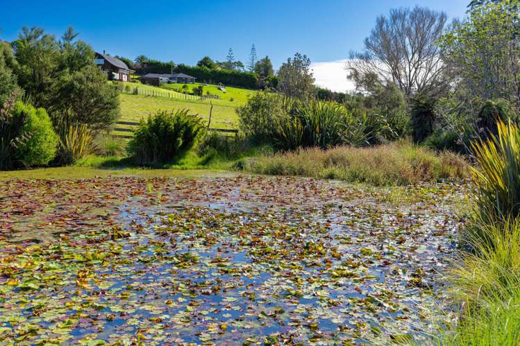 134 Cames Road Mangawhai_14