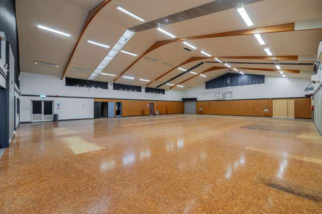 99 Kaimanawa Street Kelvin Grove_3