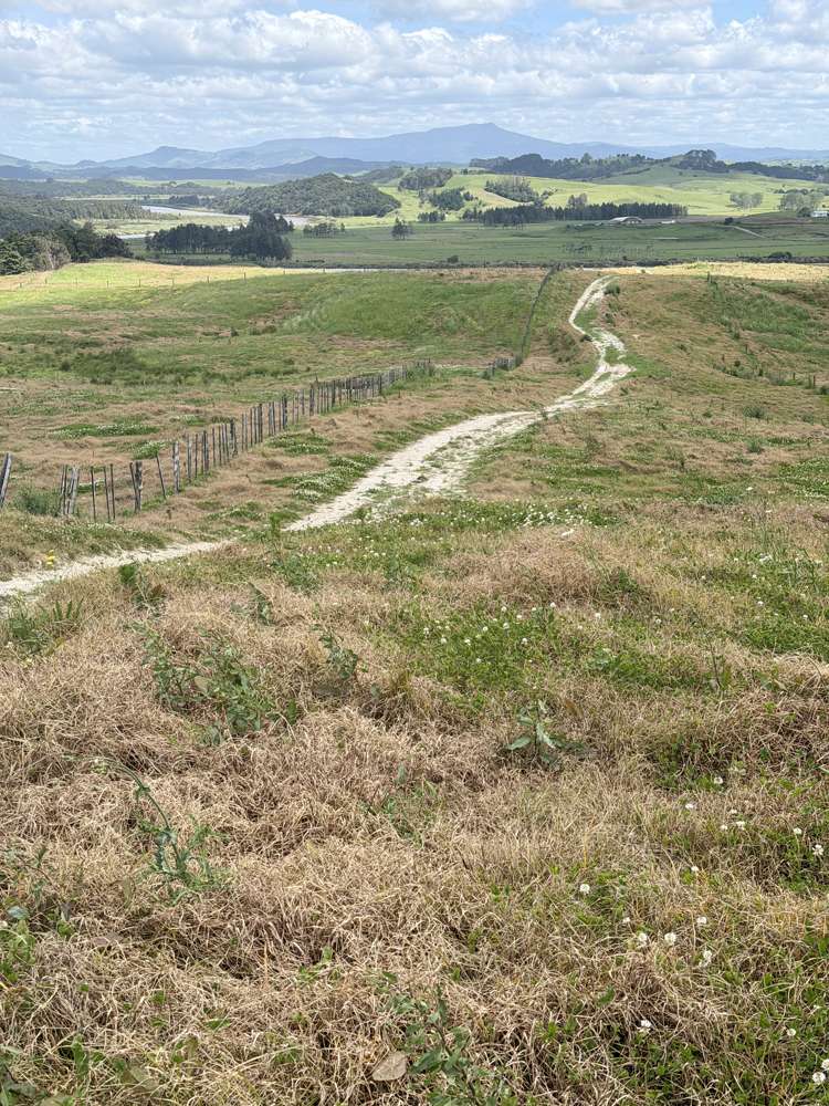 Pukehuia Road Arapohue_11