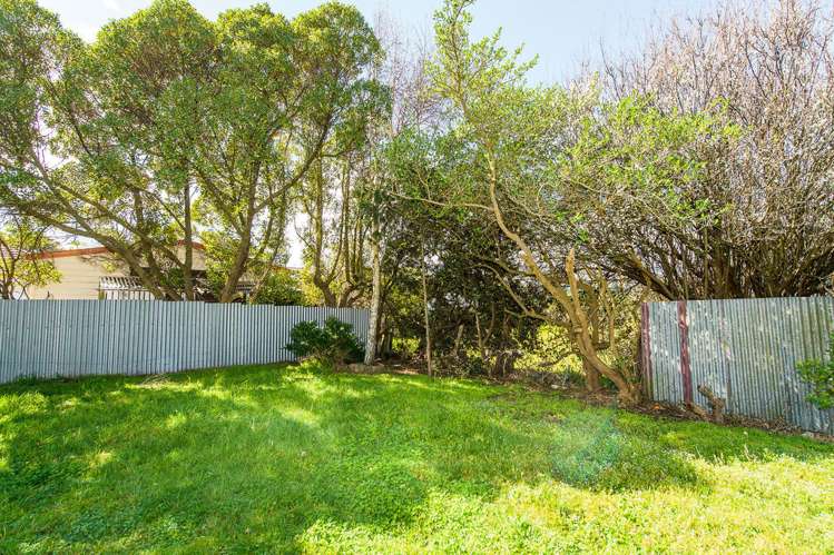 29 Swiss Avenue Gonville_14