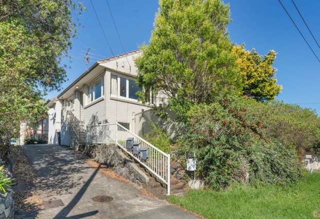 878 Dominion Road Mt Eden_2