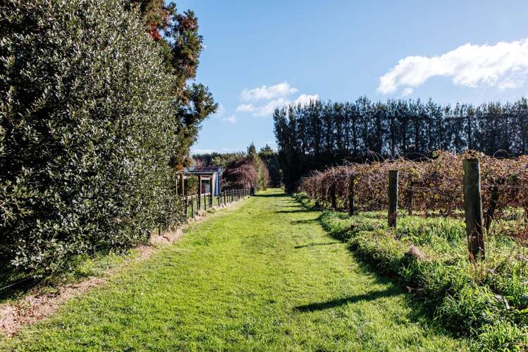 343 Western Drain Road Edgecumbe_34