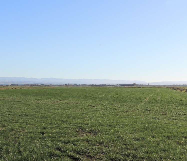 558 Seadown Road Seadown_20