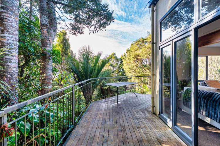 35 Park Road Titirangi_5
