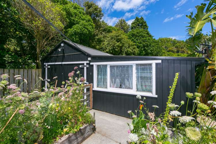 3 Burgess Hill Road Burgess Park_16