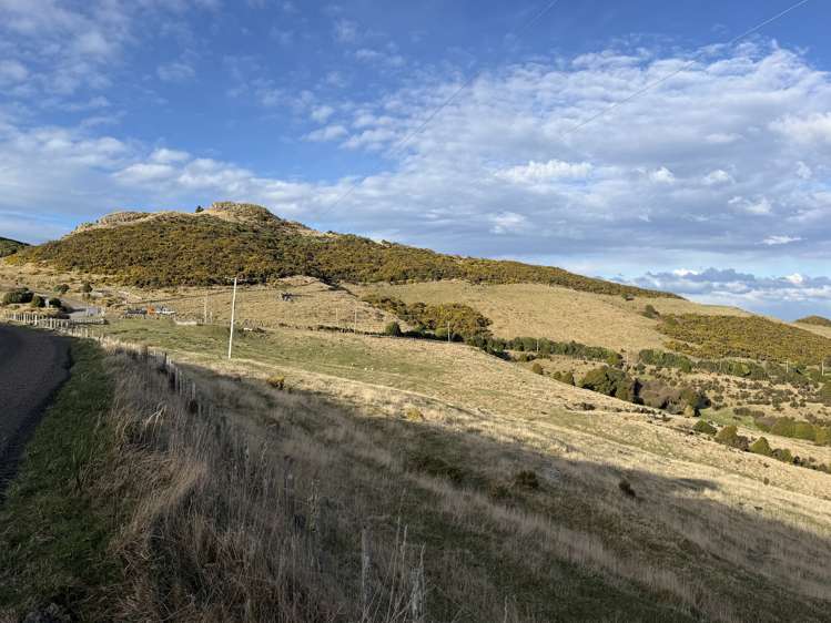 490 Long Bay Road Akaroa_5